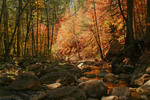photo thumbnail #12