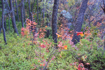 photo thumbnail #14