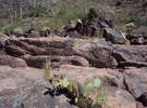 photo thumbnail #7