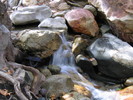 photo thumbnail #1