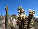 photo thumbnail #1