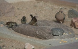 photo thumbnail #14