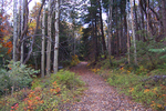 photo thumbnail #8