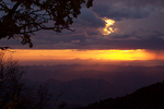 photo thumbnail #11