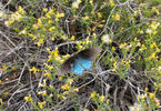 photo thumbnail #3