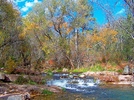 photo thumbnail #4