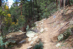 photo thumbnail #12