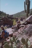 photo thumbnail #3