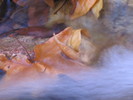 photo thumbnail #14