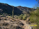 photo thumbnail #4