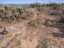 photo thumbnail #6