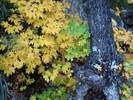 photo thumbnail #12