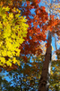 photo thumbnail #15