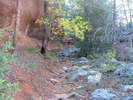 photo thumbnail #1