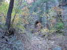 photo thumbnail #8