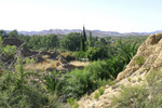 photo thumbnail #5