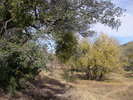 photo thumbnail #12
