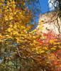 photo thumbnail #2