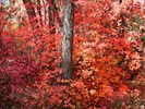 photo thumbnail #14