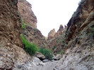 photo thumbnail #10