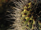 photo thumbnail #1