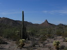 photo thumbnail #2