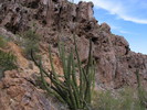 photo thumbnail #13