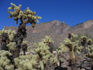 photo thumbnail #4