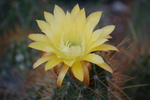 photo thumbnail #3