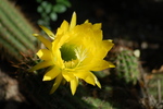 photo thumbnail #4