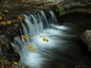 photo thumbnail #11