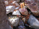 photo thumbnail #6
