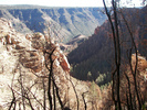 photo thumbnail #7