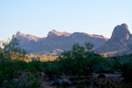 photo thumbnail #2