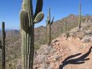 photo thumbnail #6