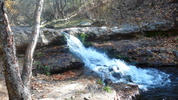 photo thumbnail #1