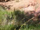 photo thumbnail #13