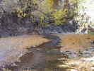photo thumbnail #15