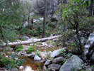 photo thumbnail #12