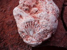 photo thumbnail #11