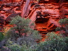 photo thumbnail #14