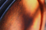 photo thumbnail #8