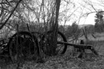 photo thumbnail #10