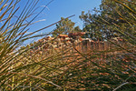 photo thumbnail #5