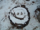photo thumbnail #7