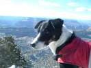 photo thumbnail #8