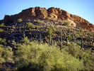 photo thumbnail #2