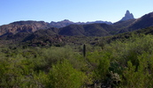 photo thumbnail #6