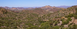 photo thumbnail #8