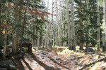 photo thumbnail #1